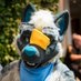 Hoppin' n Chompin' (@marlinroo) Twitter profile photo Hoppin' n Chompin' (@marlinroo) Twitter profile photo