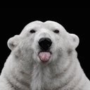 Carla Knight - @CKnightDutton - Twitter