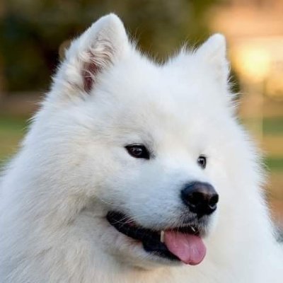 MSegz's profile picture. On the road 
$SYS