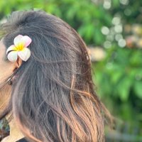 🌻✨ (@ningwa_sam) 's Twitter Profile