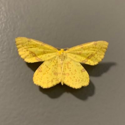 bigboi89254374's profile picture. 