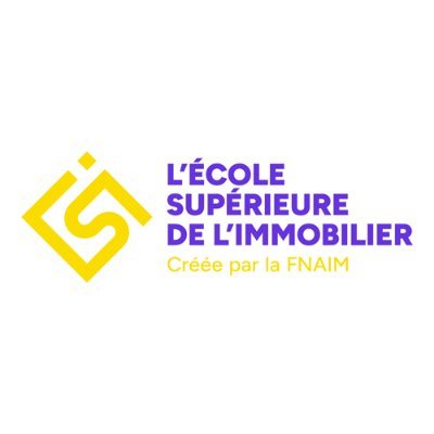 Groupe ESI Profile