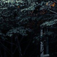 Ike Montoya | Decentralizer (@montoyaike52370) 's Twitter Profile