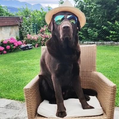 Bernd1346946's profile picture. 31 | I like finance, business, tech and Crypto!