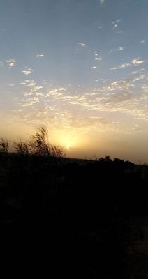 badr_f88's profile picture. سناب
bf.8080