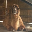 Michelle daily - @Mdaily2312 - Twitter