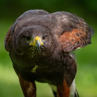 EveryBitBeautiful (@lsbofebb) 's Twitter Profile Photo