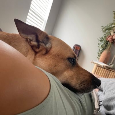DevonOblakely1's profile picture. 