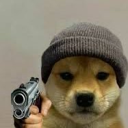 SandLieb's profile picture. 