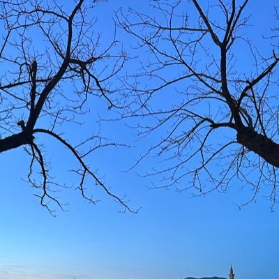 mdgxp's profile picture. 