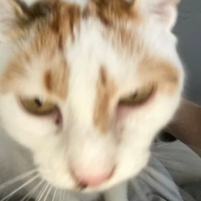 9408