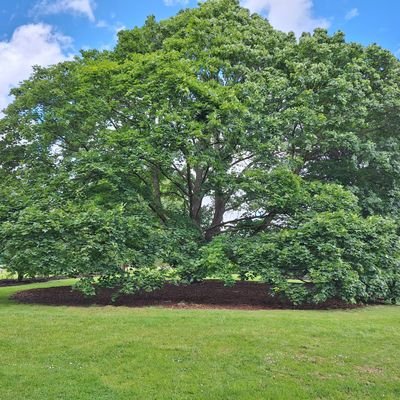 mikethomas573's profile picture. 