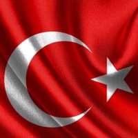 Elif Dalkılıç (@elif01dlklc) 's Twitter Profile