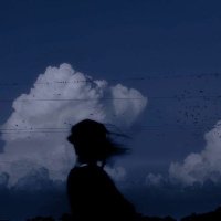 Qroll (@qroll_) 's Twitter Profile