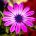viviana.dominguez (@vdominguez23350) Twitter profile photo viviana.dominguez (@vdominguez23350) Twitter profile photo