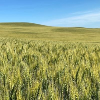 Agronomy consultants, Pioneer Agent, SWAT/ Variable Rate