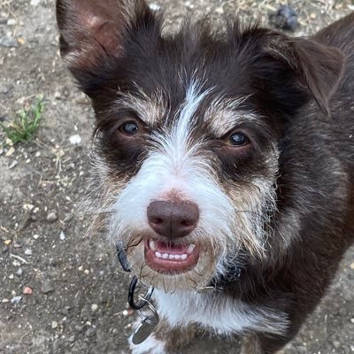 mickdempsey2's profile picture. 