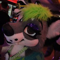 Seth (SEE WEBSITE) (@sethsholf) 's Twitter Profile