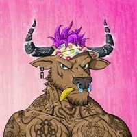 villi crypt (@villicrypt) Twitter profile photo