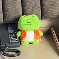 雨果 (@_hug_hugo) 's Twitter Profile Photo