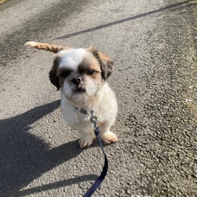 cornu_therese's profile picture. 