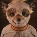 DESTROYER_OF_WORLDS (@nanette70387958) Twitter profile photo DESTROYER_OF_WORLDS (@nanette70387958) Twitter profile photo