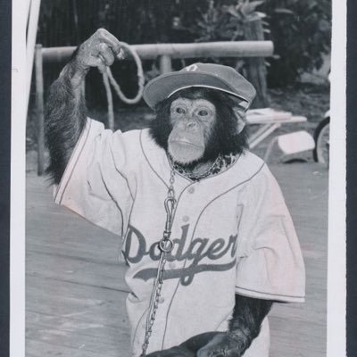 lets go dodgers kings lakers chargers lobos Man U matadors #noelevators