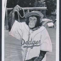 ryan (@dodgahsryan) 's Twitter Profile