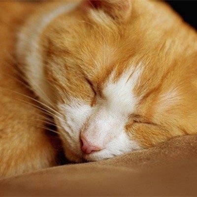 経営者/個人投資家。過去に事業に失敗し膨大な借金を負う、諦めずに再び起業し複数の会社経営。今はおトク情報を教えたり、自身がお金に苦労したので生活に困っている人の力になれればと思い、少しですが10万円プレゼント企画を始めました★ コチラ→https://t.co/JlTNKMFRnj