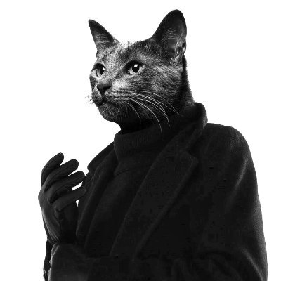 0xSinitra's profile picture. 