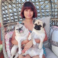 Cherrie, Beans & Toastie The Pugs 🐾 (@cherriet793) 's Twitter Profile