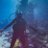 Naj_alajeel's profile image