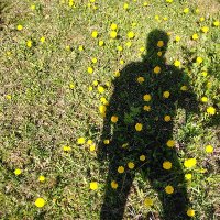 Ervins Labanovskis (@labanovskis) 's Twitter Profile