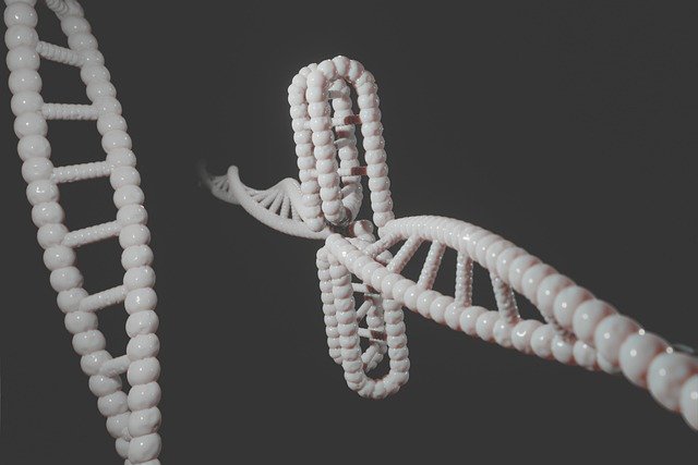 tameramorton_72's profile picture. Looking for new sexual adventures | FWB 🔥💋