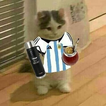 Me meto a twitter a leer au's y a leer una que otra cosa ramdon que aparezca 😁🇦🇷✨️