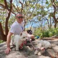 Andrew Jordan (@andrewj22184787) 's Twitter Profile