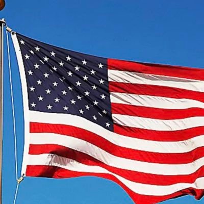 lauraeggknox's profile picture. 