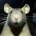 abril (@__bril___) Twitter profile photo abril (@__bril___) Twitter profile photo