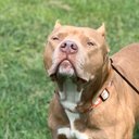 Gregory Grogan - @ggrogan9 - Twitter