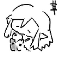Flamingo枭羽 (@flamingoxy233) 's Twitter Profile