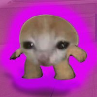 Budster 🍌😼🍎 (@budster_sol) 's Twitter Profile Photo Budster 🍌😼🍎 (@budster_sol) 's Twitter Profile Photo