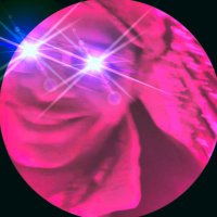 Papo (@papo352) 's Twitter Profile