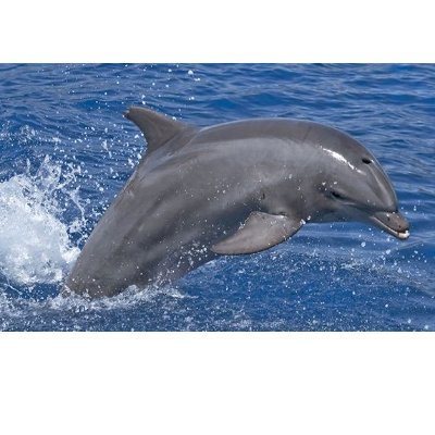 EmilS18991's profile picture. 