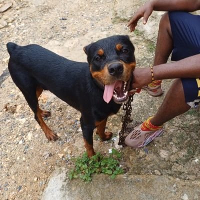 PascuaGuzmn1's profile picture. 