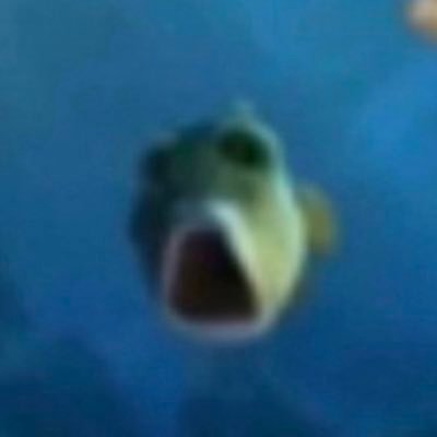 MikeeR6S's profile picture. gioo: @GiooR6 Son: @Indy2darim