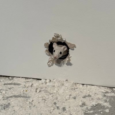 gmk_0718's profile picture. Father / entrepreneur / food & travel 🌕