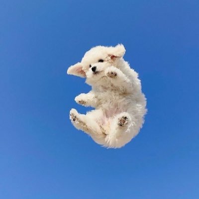 rnn__8's profile picture. #Dラボ 札幌の現役大学生。ビッグファイブは全て高めです！VIA強みは向学心。友達からは変人、先生みたいと言われます！健康オタク