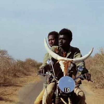 Somethi12365809's profile picture. Having fun with it :)