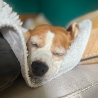 A_snee's profile picture. Done with X - Twitter