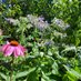 Taproot Garden Co YYJ (@taprootgardenco) Twitter profile photo Taproot Garden Co YYJ (@taprootgardenco) Twitter profile photo